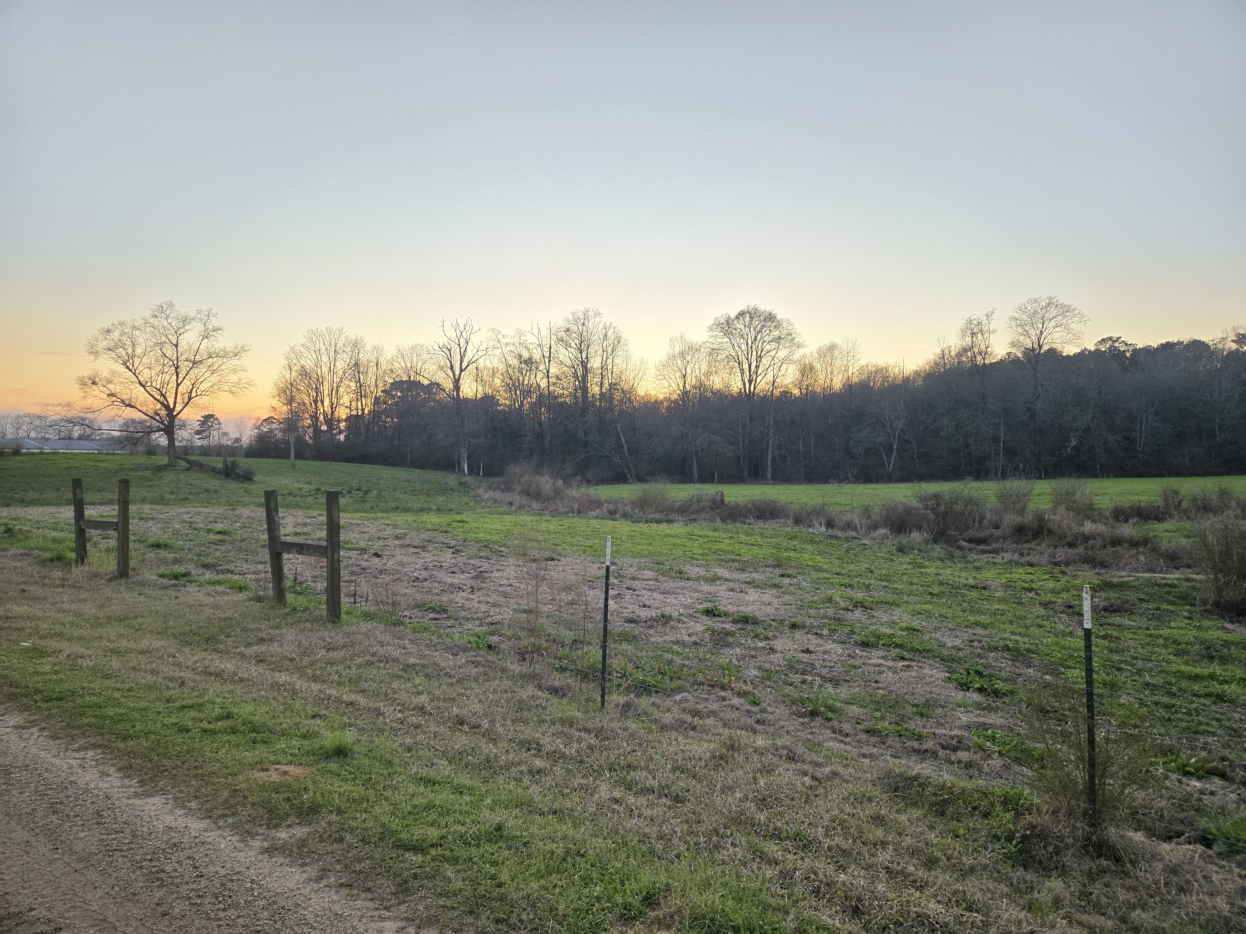 Field