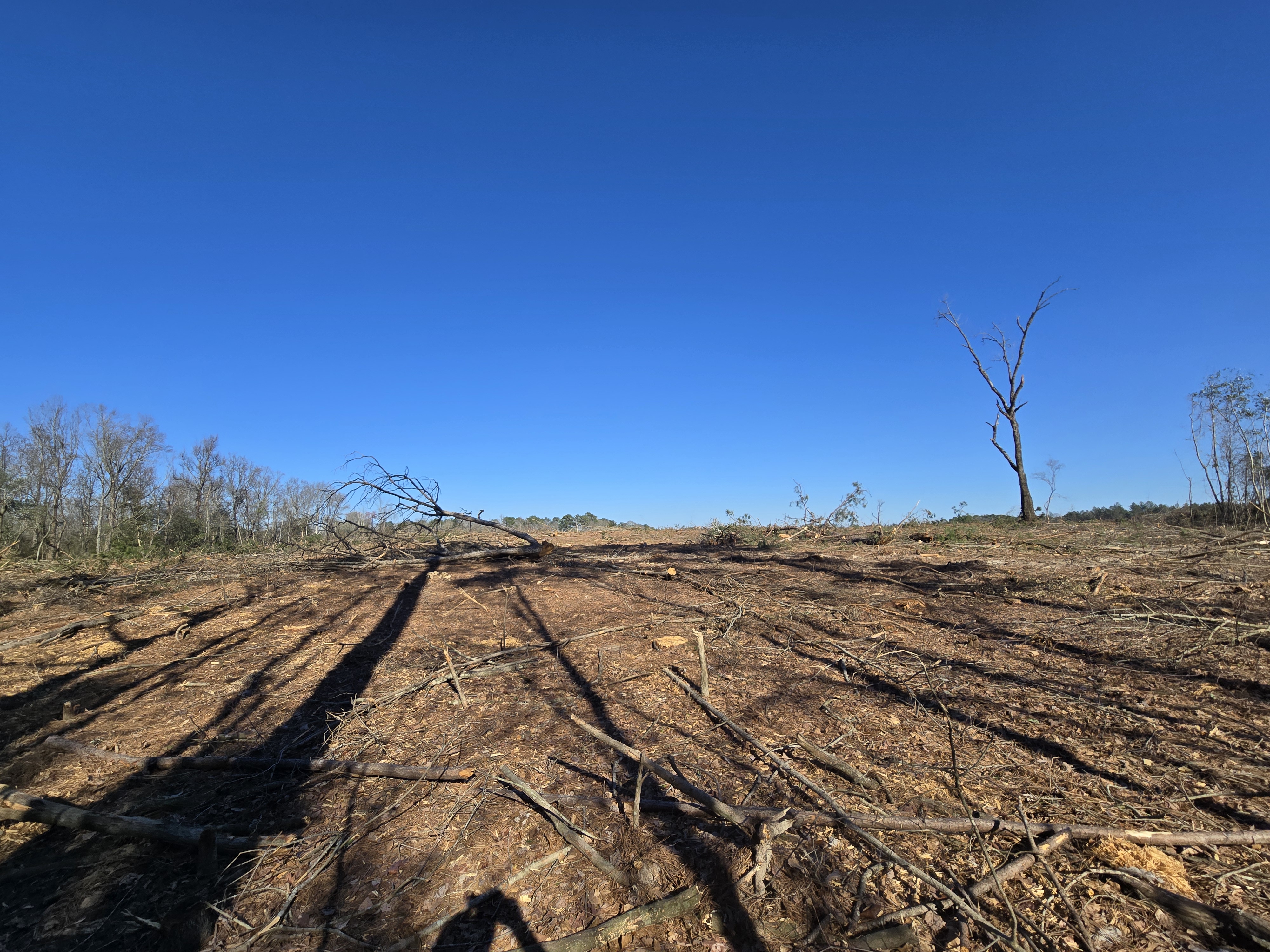 No Man’s Land