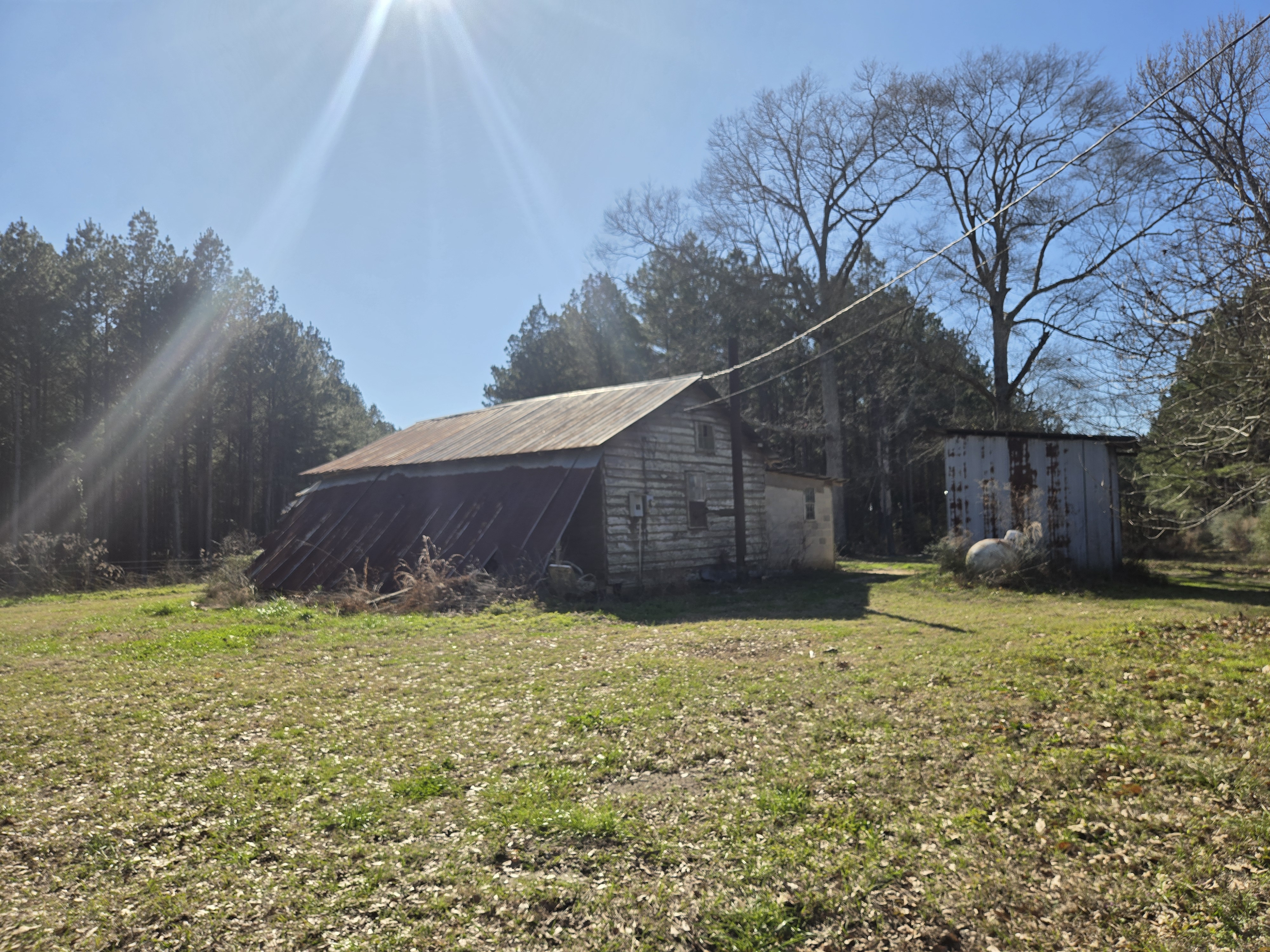 The Old Cabin