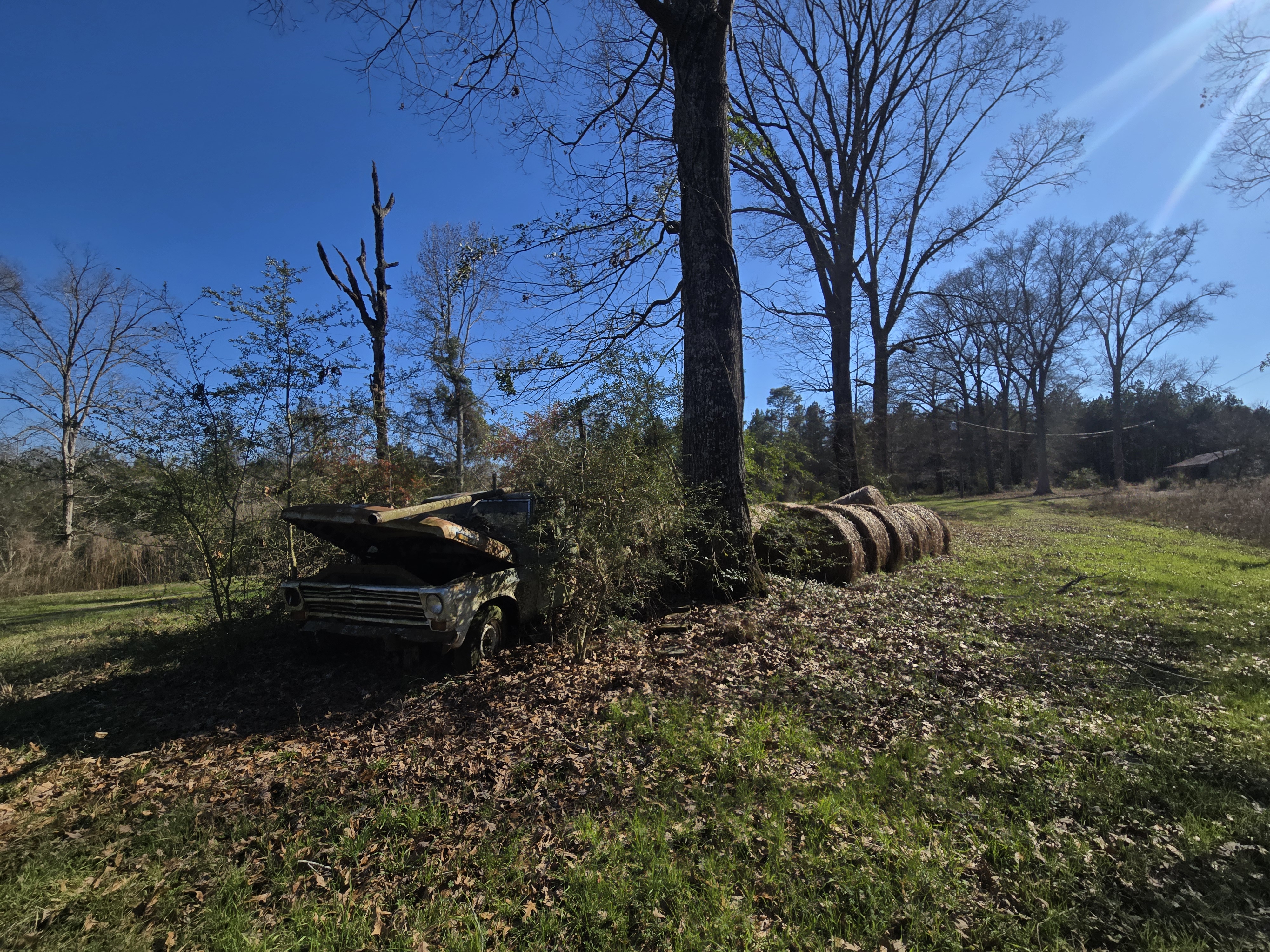 Pulp Wood Truck